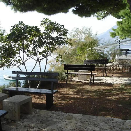 Aga Nemira * أوميس